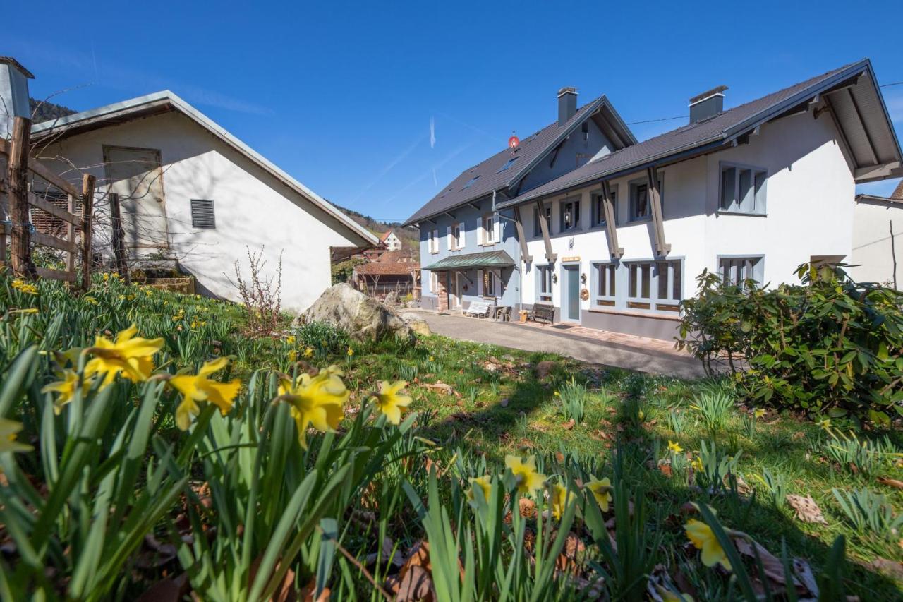 Locations Des 3 Sommets Avec Sauna Et Spa En Alsace Sondernach Экстерьер фото