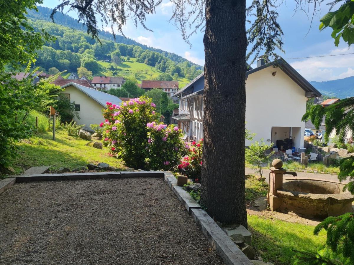 Locations Des 3 Sommets Avec Sauna Et Spa En Alsace Sondernach Экстерьер фото