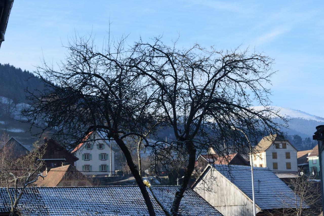 Locations Des 3 Sommets Avec Sauna Et Spa En Alsace Sondernach Экстерьер фото